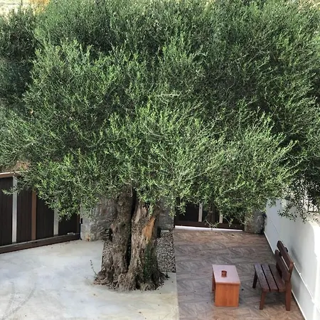 Creta Galini House Ferienhaus