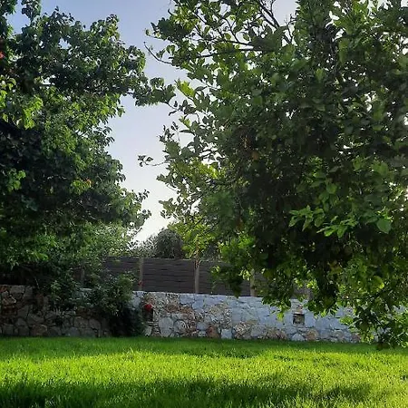 Creta Galini House *